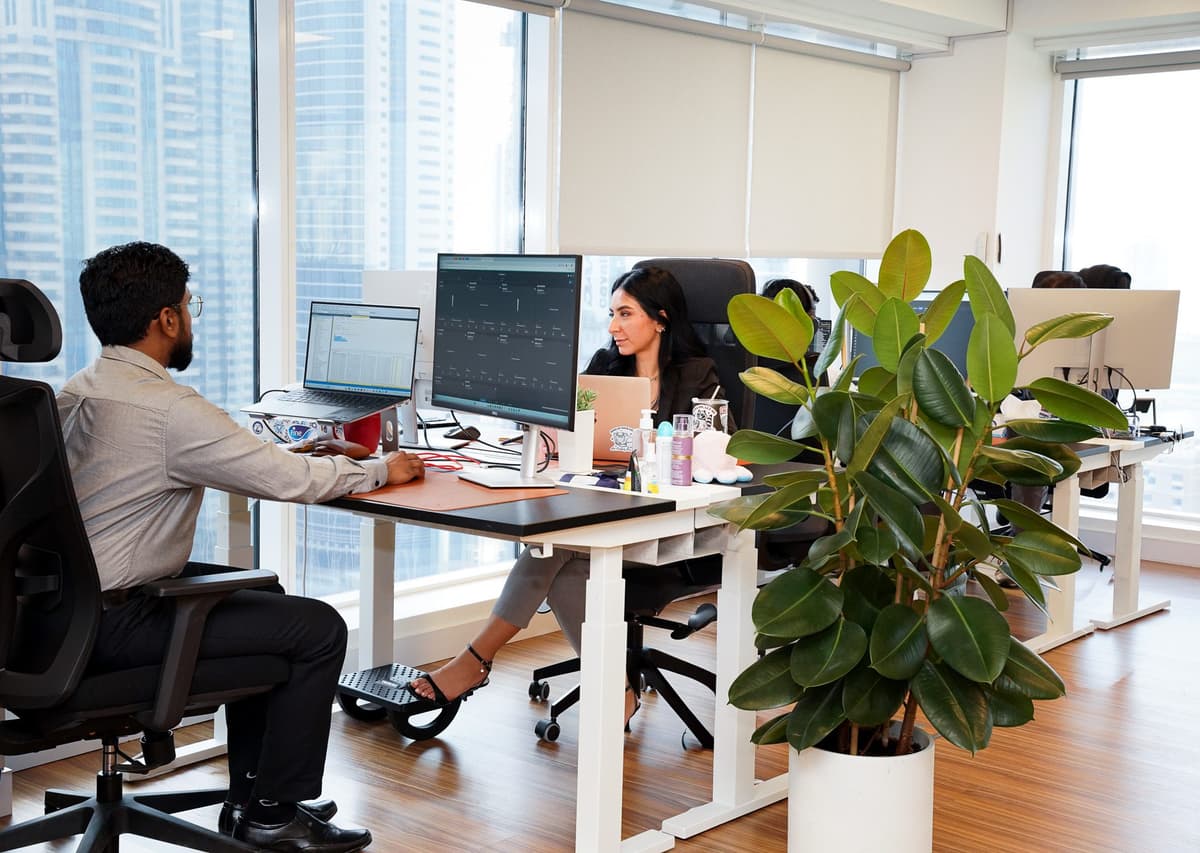 Team working on digital services